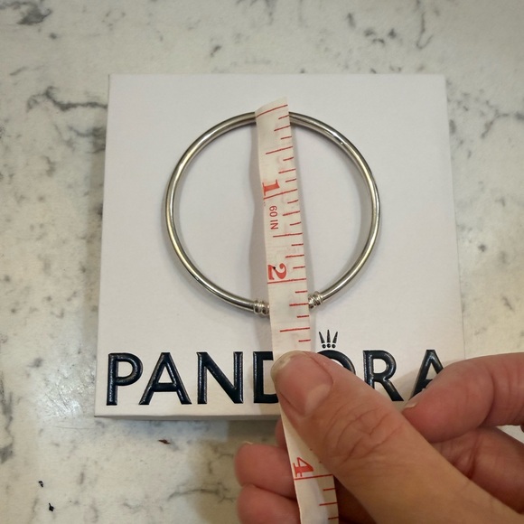 Pandora Silver Bracelet with Blue Accents - Picture 4 of 4